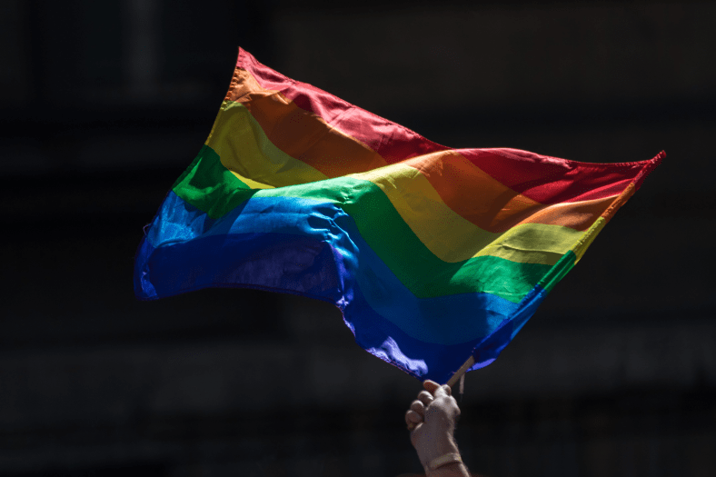 Plus de woke : des parents allemands intentent une action en justice pour faire retirer les drapeaux LGBT à&nbsp;l&rsquo;école