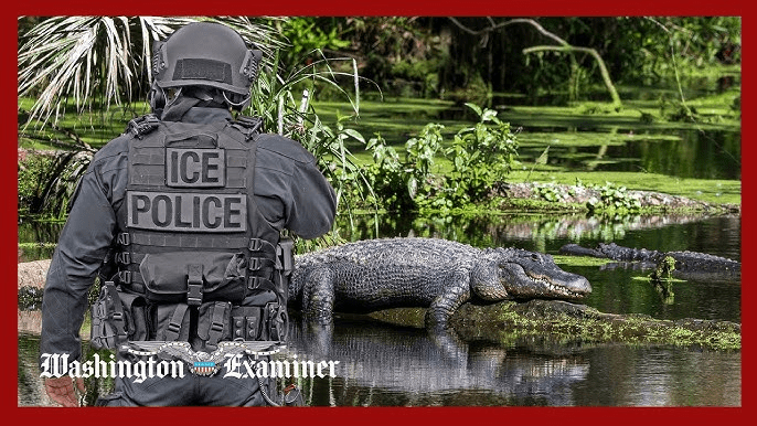 « Alligator Alcatraz » : le procureur général de Floride a un plan novateur pour détenir les&nbsp;clandestins